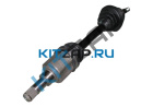 ������ ���� �������� �����